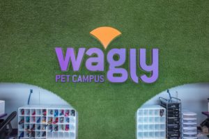 The veterinarians at Wagly Veterinary Hospital and Pet Campus.